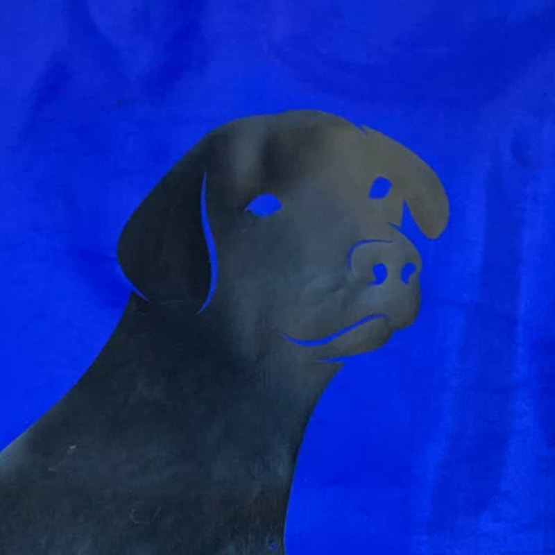 Hand Printed Upcycled Heavy Duty Vinyl Drawstring Bag Backpack w Black Lab Dog